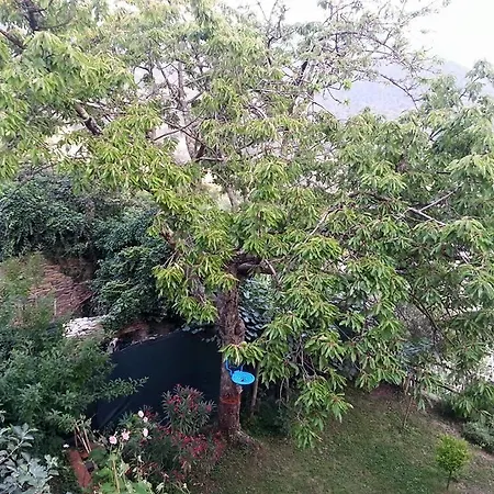 Rifugio 9 Km Da Recco Oda ve Kahvaltı