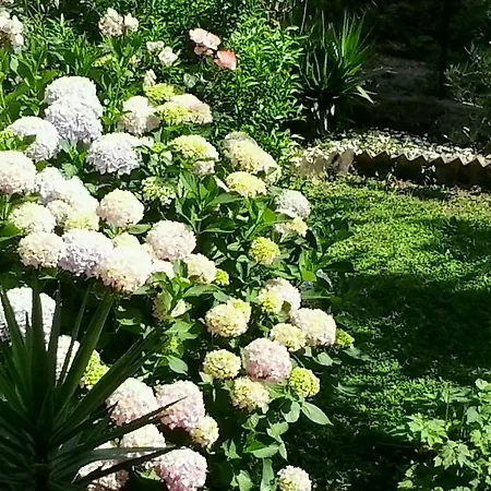 Rifugio 9 Km Da Recco *