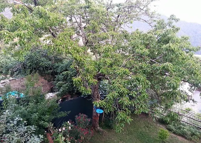 Rifugio 9 Km Da Recco B&B