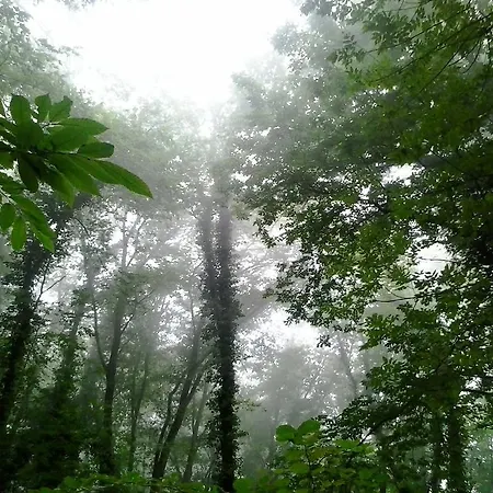 Rifugio 9 Km Da Recco